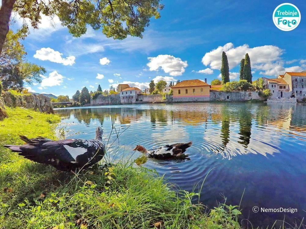 Nina Lägenhet Trebinje Exteriör bild